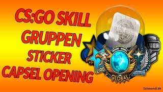 CSGO Skill Gruppen Sticker Kapsel Opening Skill Groups Capsule Opening [upl. by Locke]