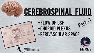 Cerebrospinal Fluid  Part 1 [upl. by Braden406]