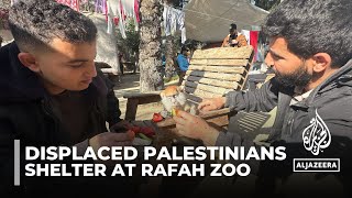 Palestinians shelter among starving animals at forlorn Rafah zoo [upl. by Anekahs]