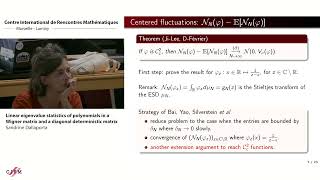 Sandrine Dallaporta  Linear eigenvalue statistics of polynomials in a Wigner matrix and a diagonal [upl. by Babita]