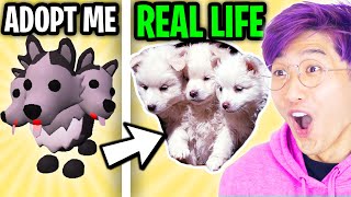 LankyBox Watches ADOPT ME IN REAL LIFE PART 5 LEGENDARY ADOPT ME PETS IN REAL LIFE [upl. by Kirit498]