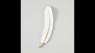 What is the meaning of seeing white feather and message behind that for you [upl. by Hanako]