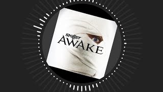 Awake and Alive lyrics Skillet [upl. by Leahcimaj13]