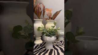 Izhar Plant Pot  pickchoosewrap shopizhar pickchoosewrap plantpots planter plants homedecor [upl. by Nangem]