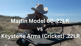 Keystone Arms Cricket 22LR vs Marlin Model 60 22LR [upl. by Aekim]