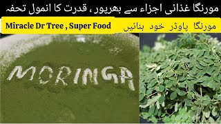 Moringa Powder  Drumstick Leaves Powder  How To Make Moringa Powder [upl. by Akirej]