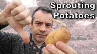 Sprouting Potatoes – Everything You’ll Want to Know [upl. by Lisk839]