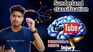 Sunderland classification of peripheral nerve injury physio vsmedicoclasses vikassaini exercise [upl. by Skyler]