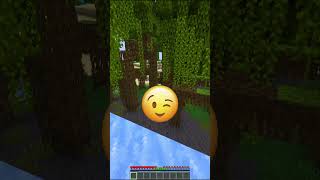 Minecraft Try Not To Blink CHALLENGE minecraftshorts [upl. by Zelten]