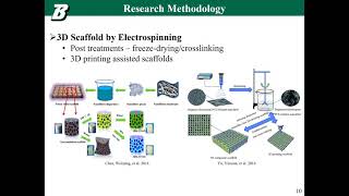 Electrospinning Biomimetic Scaffolds for Tissue Engineering  Dr Yingge Zhou [upl. by Wiese]