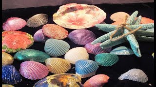 DIY 5 Ways to decorate seashells shells [upl. by Attenhoj233]