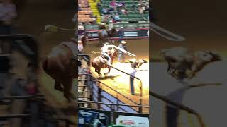 Shelby Boisjoli with a 227 sec run at the WRWC semifinals round ‌ breakawayroping rodeo [upl. by Copp]