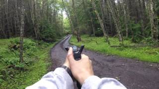 Glock 40 MOS 10mm 100 yard zero [upl. by Watters446]