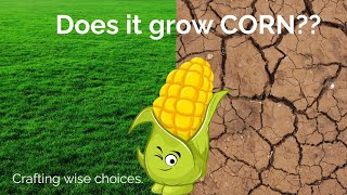 Does it grow CORN [upl. by Peggie]