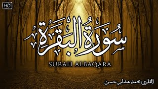 سورة البقرة كاملة  القارئ محمد هشام Surah Al Baqarah [upl. by Waylin309]