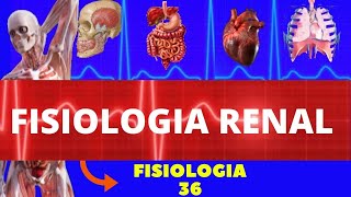 INTRODUÇÃO À FISIOLOGIA RENAL FISIOLOGIA HUMANA  SISTEMA EXCRETOR URINÁRIO  FISIOLOGIA GUYTON [upl. by Teddie]