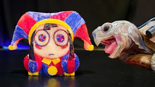 The Amazing Digital Circus 🎪 ASMR Eating Pomni Mukbang 🐢 Turtle Tortoise 153 [upl. by Inalaehak]