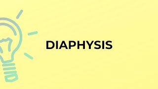 What is the meaning of the word DIAPHYSIS [upl. by Ilzel]