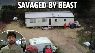 Girl 10 ‘mauled to death by XL bully’ dog in family caravan before mum screamed ‘my baby is dead’ [upl. by Meerak726]