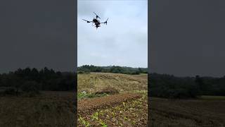 DJI T60 FERTILIZER SPREADING WORK  DJI T60 Leave professional matters to professionals live [upl. by Yelsehc195]