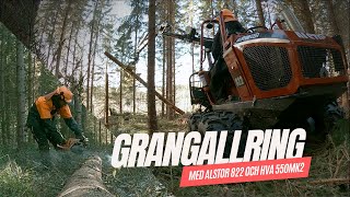 GRANGALLRING MED ALSTOR 822 [upl. by Wake]