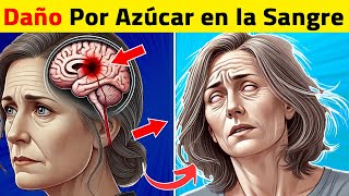 ¡Cómo el Azúcar Alto en La Sangre Daña el Cerebro [upl. by Nhguaval]