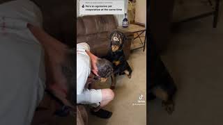 Growling Rottweiler and the nail clippers Bear and ryan ryanprater4 [upl. by Kinata]