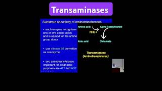 Transaminases Aminotransferases  Metabolism Made Easy [upl. by Rehtaeh377]