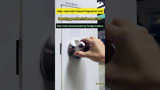 High Quality Smart Lock Digital Fingerprint Lock With Tuya App [upl. by Nonnarb]