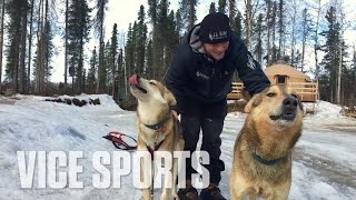 Meet IditarodWinning Sled Dogs [upl. by Pascasia]