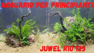 Il tuo PRIMO ACQUARIO  allestimento facile per principianti  Juwel Rio 125 [upl. by Neel524]