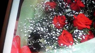 FRESCAS ROSAS canto para las madres [upl. by Assirehs]