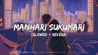 Manhari Sukumari SlowedReverb  Lofi Song  Dabb Music  newsong [upl. by Alejo]