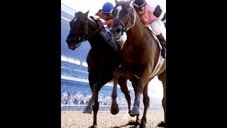 AFFIRMED VS ALYDAR The Triple Crown [upl. by Ruttger]