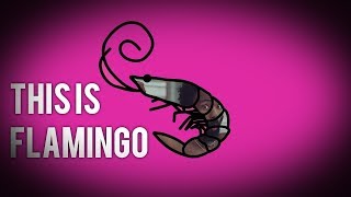 Mashup This Is Flamingo Childish GambinoKero Kero Bonito [upl. by Gordon976]