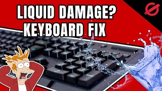 KEYBOARD LIQUID DAMAGE  HERE IS HOW TO SAVE IT [upl. by Weixel]