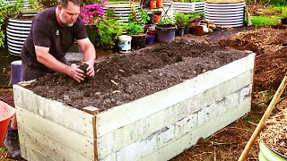 How to Fill Raised Vegetable Garden Beds and SAVE Money [upl. by Corinne]