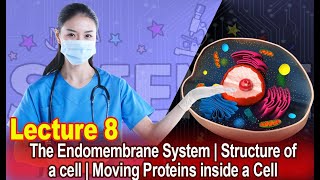 The Endomembrane System  Structure of a cell  Moving Proteins inside a Cell  Lecture 8 [upl. by Anekam937]