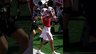 Drink Wisconsinbly 🍻 cfb football wisconsin badgers touchdown [upl. by Leonardo]