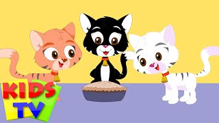 three little kittens  three little cats  nursery rhymes  songs for children  baby lyrics [upl. by Filberte]