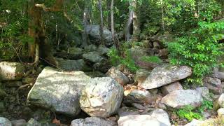 Drone Videography of Oribi Gorge Nature Reserve KwaZuluNatal [upl. by Gustav]