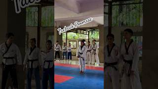 Taekwondo Poomsae Taebaek 🥋🧿 karate shortvideo [upl. by Newel]