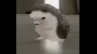 hedgehog dancing meme capcut edit funny memes ohiocheck swaginohio [upl. by Kinnard]