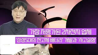 삼성SDI의 전고체 배터리’ 개발과 ‘사고실험’ [upl. by Llehsyt]