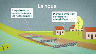 Comment fonctionnent les aménagements de maîtrise du ruissellement [upl. by Licht]