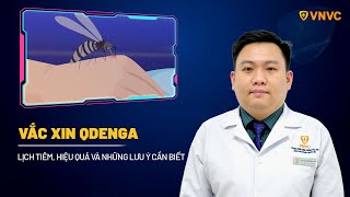 Vắc xin Qdenga Lịch tiêm hiệu quả và những lưu ý cần biết  VNVC [upl. by Leakim889]