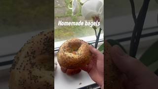 Easy homemade bagels recipe bakingrecipes easyrecipebagelsbakingeasyrecipe [upl. by Thorr479]