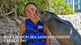 Nassau Bahamas Blue Lagoon Island Sea Lion Encounter 11623 [upl. by Fidelity]