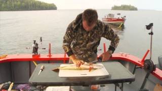 How to Remove Northern Pike Y Bones [upl. by Eiramnaej]