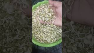 മുളപ്പിച്ച ചെറുപയർ curry 🍲sprouts curryGreen Gram recipe cooking shorts [upl. by Kondon]